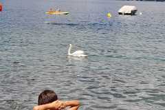 IMG-20230727-WA0044